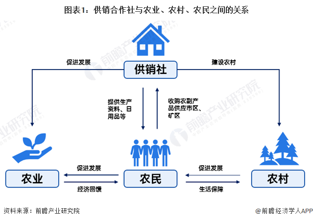 学校沿革 第113页