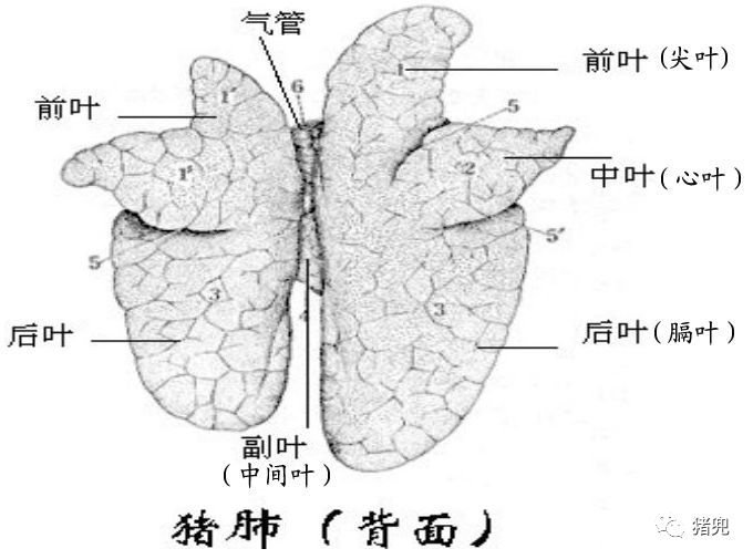 第553页