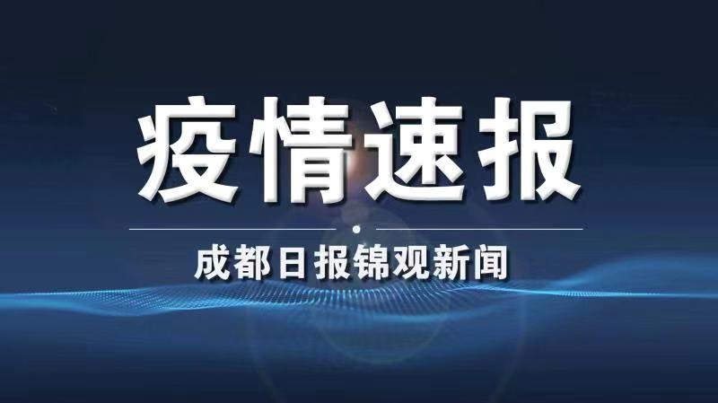 揭示疫情真相，共筑健康防线，早期肺炎数据实时播报追踪报道