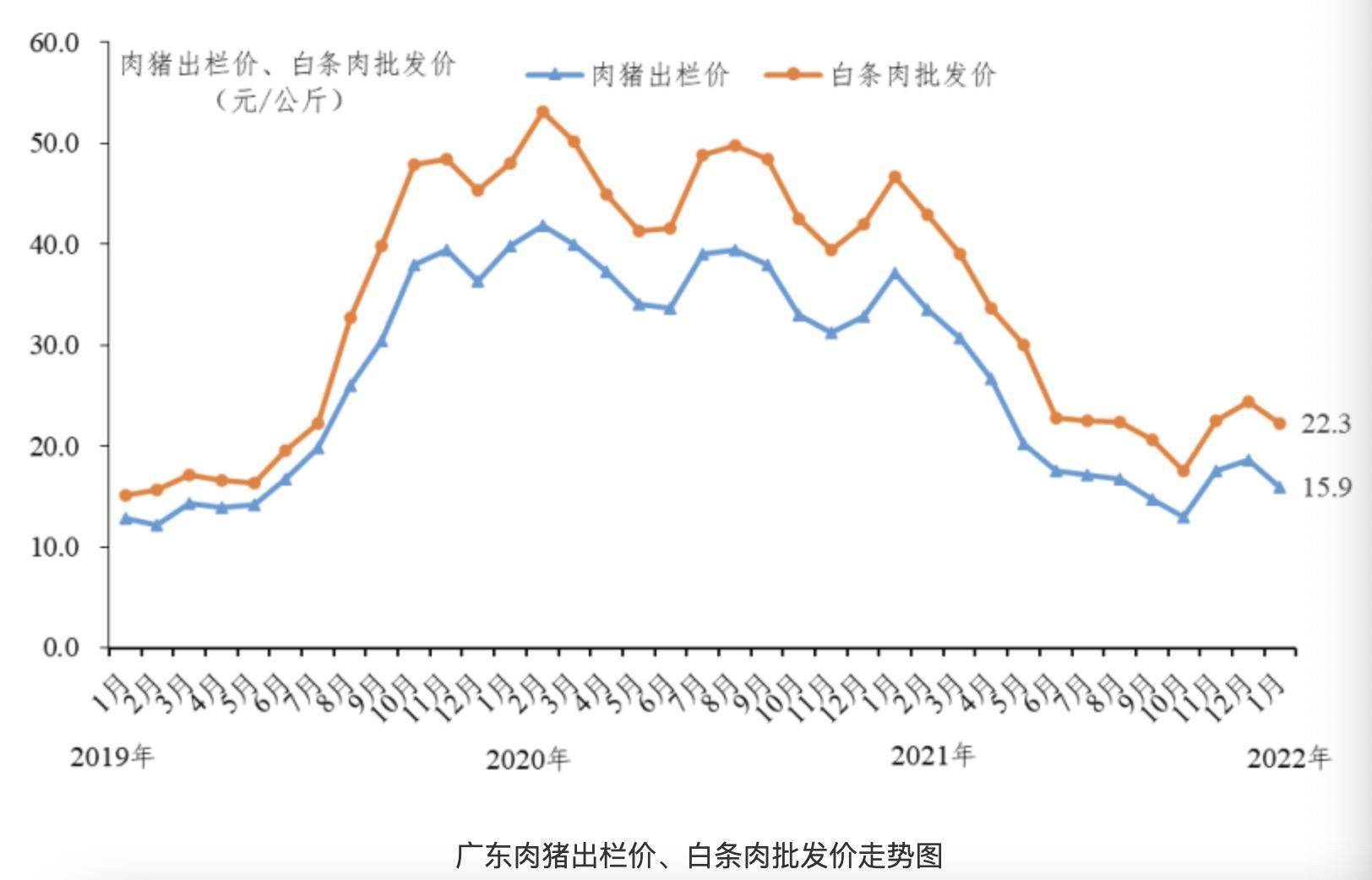 2025年3月 第316页