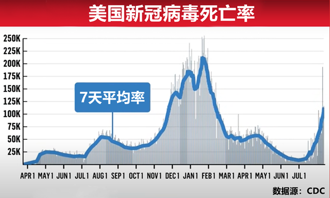 美国新冠疫情最早评论