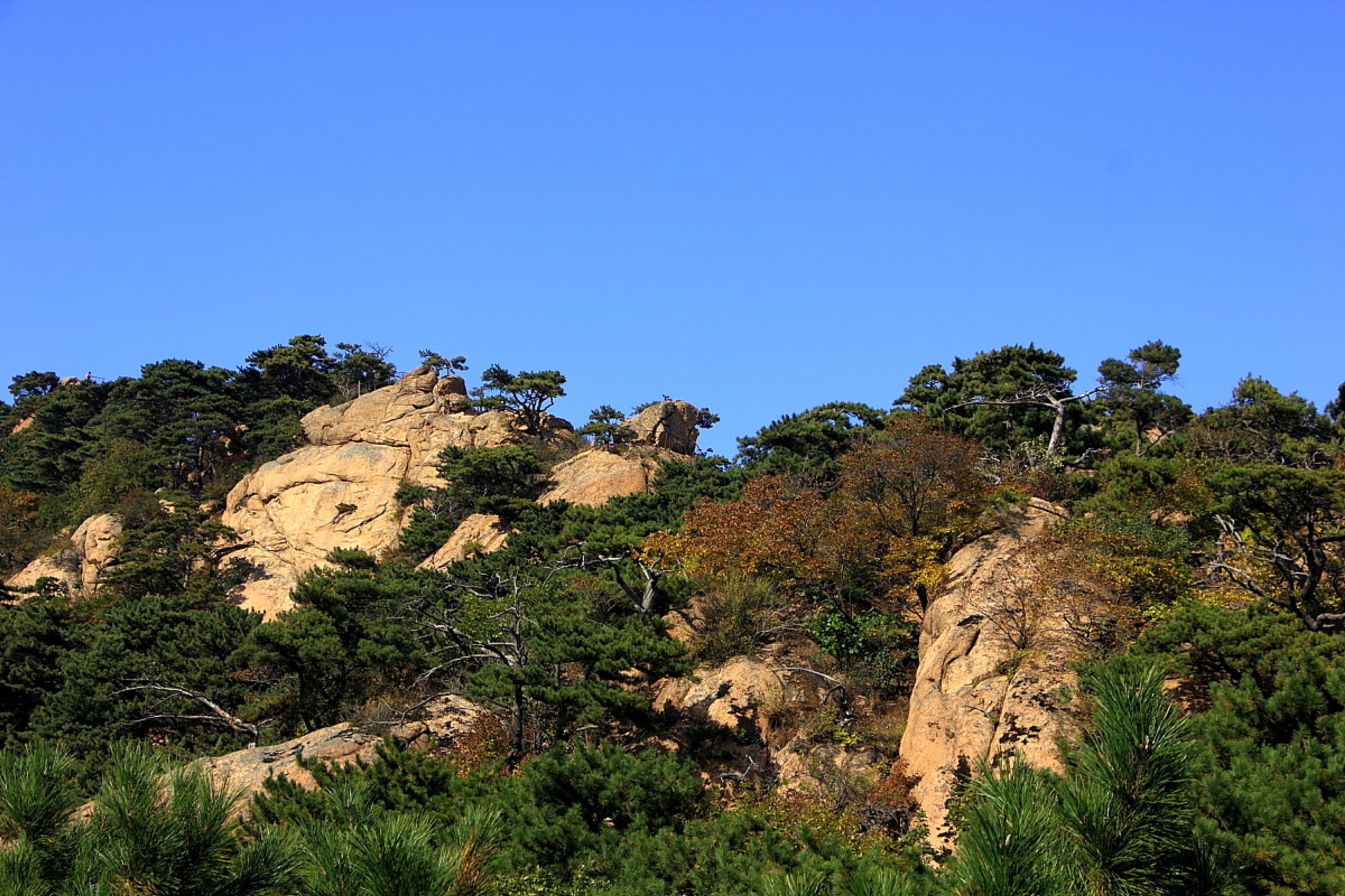 千山风景区最早